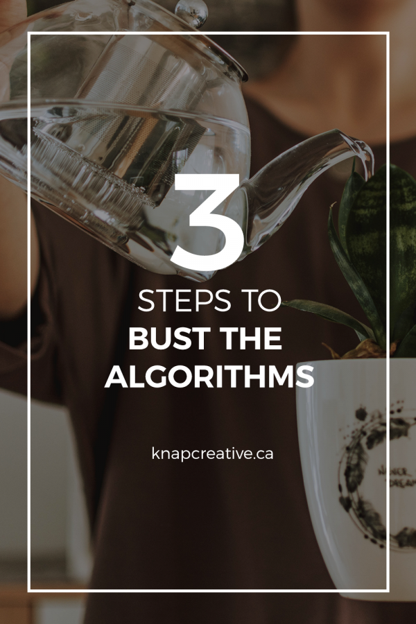 Busting the Algorithms