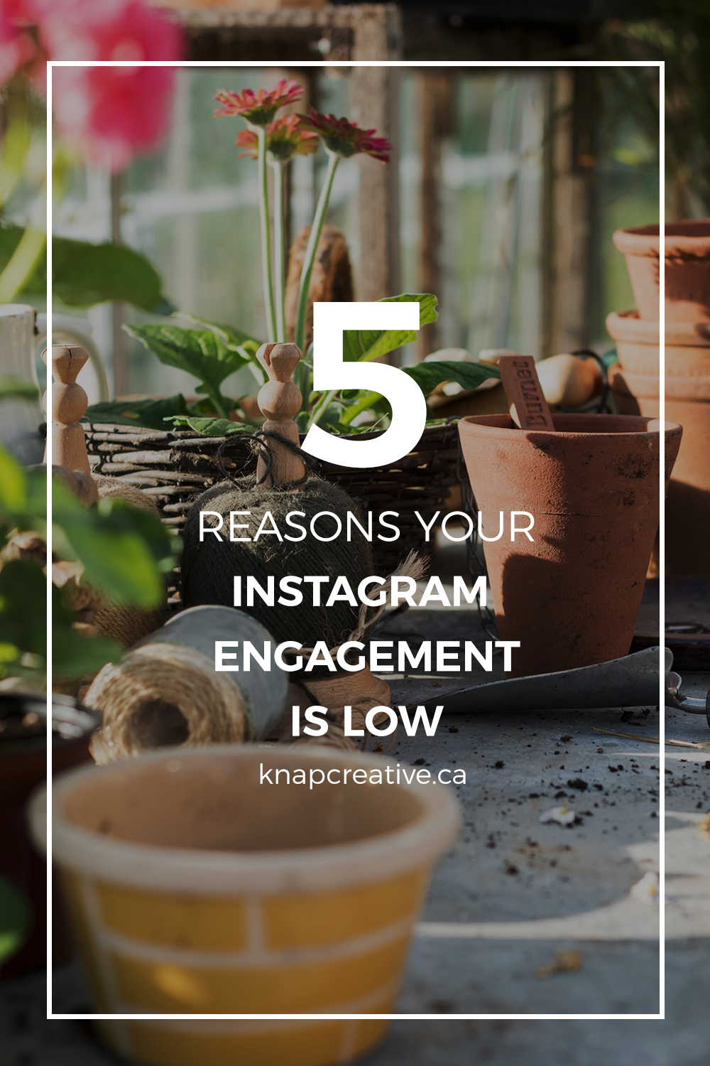 5 Reasons Why Your Instagram Engagement is Low